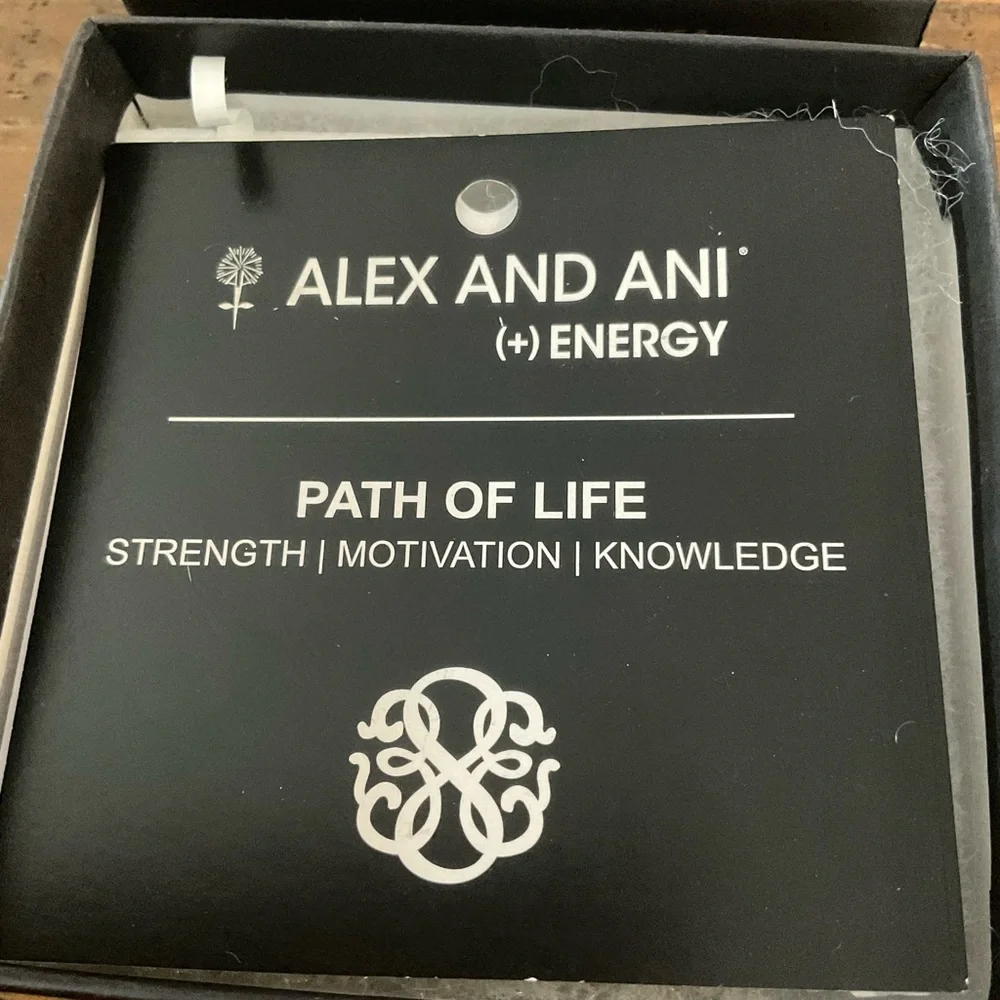 Alex and Ani nwt alex